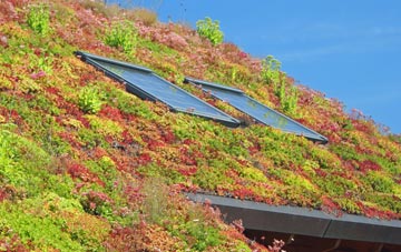 Egglesburn living roof systems